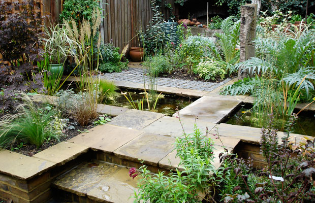 Matured planting in a city courtyard with integrated pond by Carol Whitehead garden design