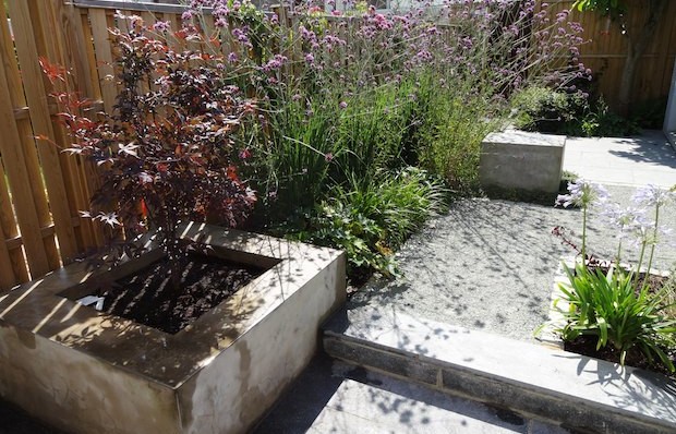 Summer planting and grey path in South London contemporary garden - Carol Whitehead garden design