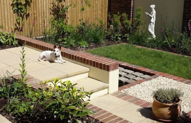 Jack Russell dog enjoys the terraced patio - Carol Whitehead garden design