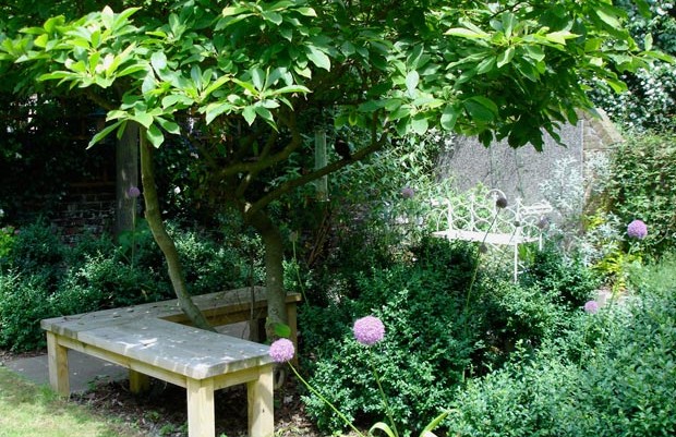 seat and planting in islington garden carol whitehead garden design