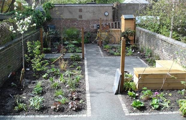 Newly planted rectangular borders with cobble edging and neat grey path - Carol Whitehead garden design