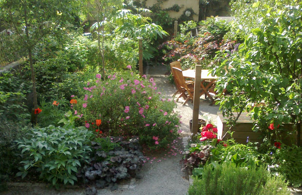 Early summer borders soften the edges of path - Carol Whitehead garden design