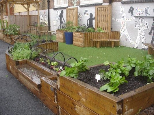 teaching food production skills: school veg plot