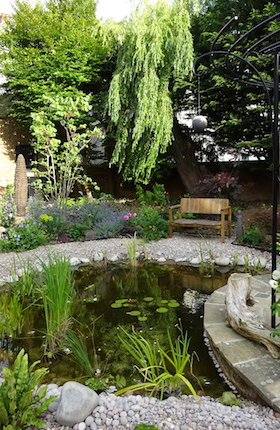 view of willow tree over pond side