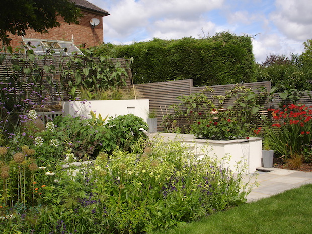 view of trellis and rendered walls with planting 
