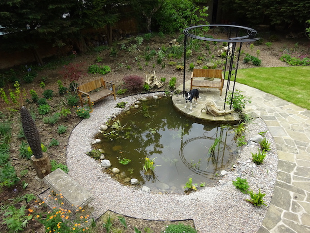 overview of wildlife pond and pergola 